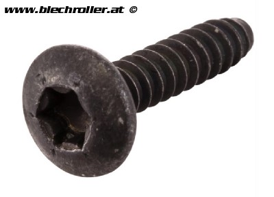 Schraube Verkleidung 4,2x18 mm, Torx für Vespa LX/LXV/S/GTS/GTS Super/946 50-300ccm, passt auch für APRILIA/GILERA/PIAGGIO 50-850ccm